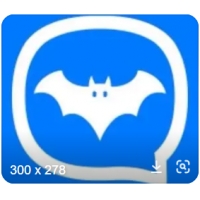 batchat˺Ź ÿ º ϺԶ